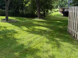 Robert W.'s lawn care service result