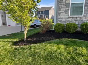 Chauncey B.'s Mulching service result