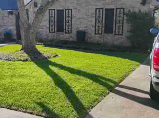 Alexis W.'s lawn care service result