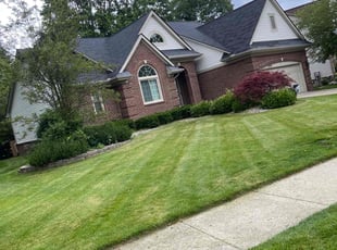 Rodney H.'s lawn care service result