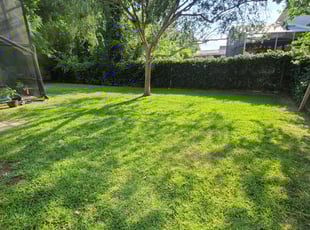 Mark B.'s landscaping services service result