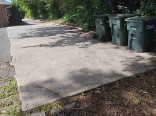 Daniel M.'s turf care service result