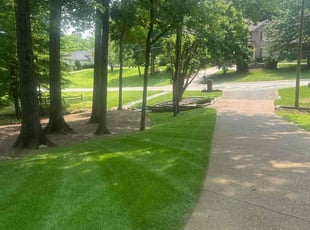 Alanna T.'s lawn maintenance service result