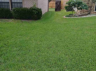 Becky P.'s lawn care service result