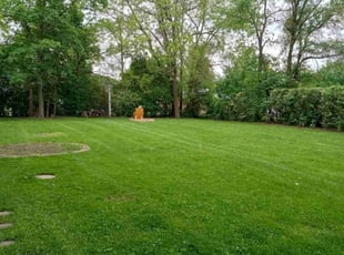 Nick H.'s turf care service result