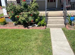 Janice D.'s grass maintenance service result