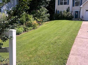 Joseph R.'s grass cutting service result