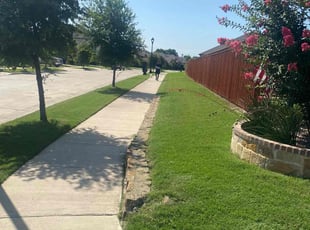 Sue S.'s turf maintenance service result