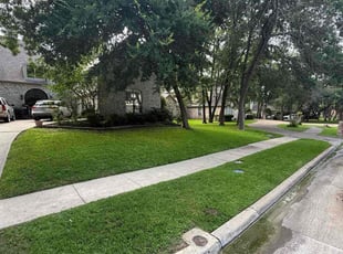 Terri C.'s turf maintenance service result