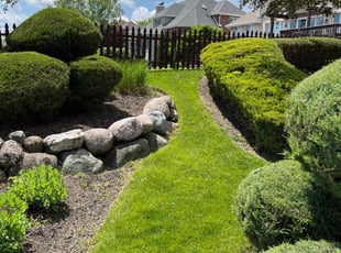 Penny R.'s grass maintenance service result