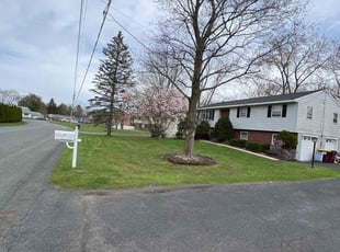 Rubie M.'s turf maintenance service result