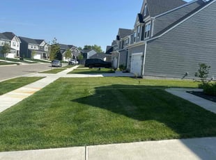 Jason D.'s lawn maintenance service result