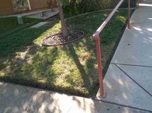 Cooper M.'s grass maintenance service result