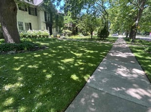 Andrea R.'s lawn care services service result