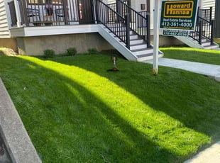 Shaunta L.'s lawn care services service result