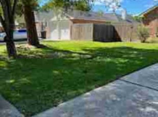 Dorian M.'s lawn care services service result