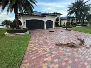 Hayde I.'s Bush Trimming service result