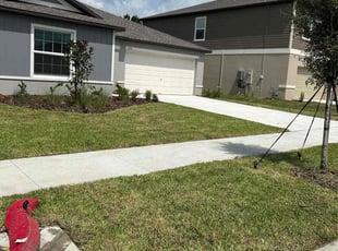 Lakesha L.'s lawn care services service result