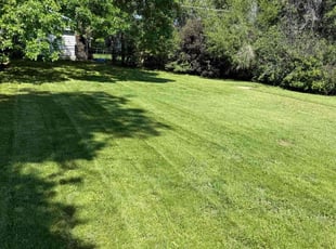 David M.'s lawn service service result