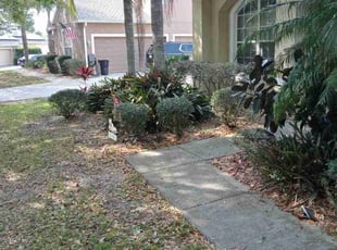 Mary C.'s Bush Trimming service result