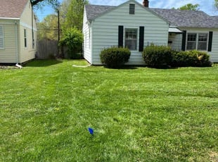 Jessie C.'s grass maintenance service result