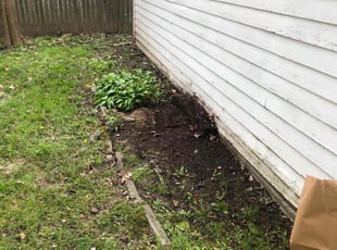 Joann S.'s Leaf Removal service result