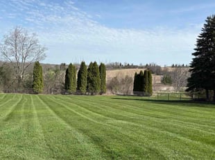 Karen H.'s grass cutting service result