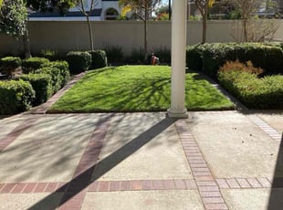 Shaun G.'s yard care service result