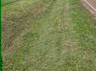 Barbara G.'s lawn maintenance service result