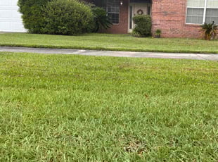 James W.'s turf care service result