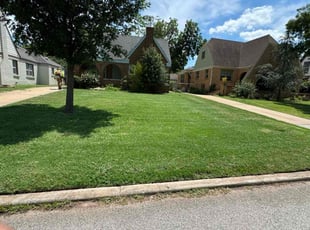 Shannon S.'s landscaping service result