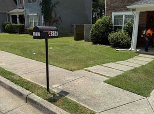 Dan K.'s lawn service service result