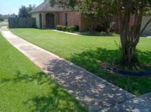 Nnaemeka N.'s lawn service service result