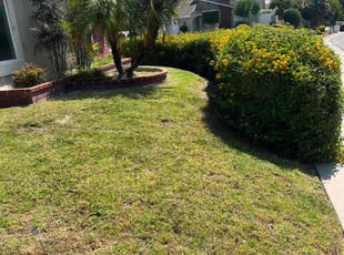 Del C.'s grass maintenance service result