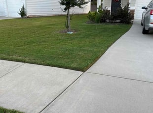 Danielle S.'s lawn service service result