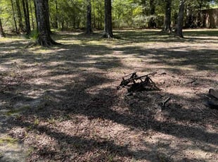 Jacqueline B.'s grass maintenance service result