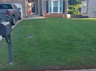 Daniel G.'s grass cutting service result