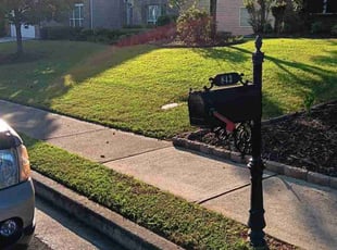 Jackie J.'s grass cutting service result