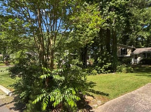 Edna P.'s lawn service service result