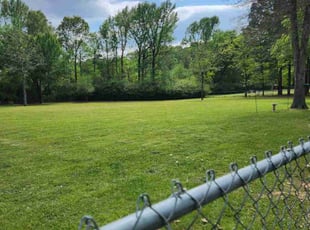 Seth B.'s grass cutting service result