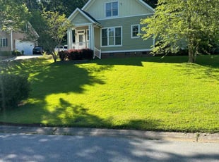 Stephen S.'s lawn service service result