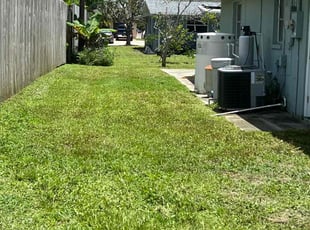Kristine K.'s lawn care services service result