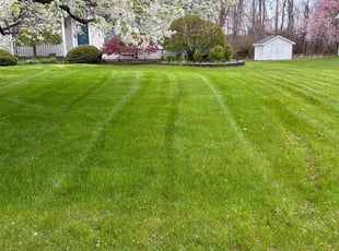Lyn L.'s lawn care services service result
