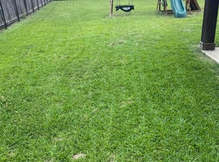 Pat J.'s grass maintenance service result