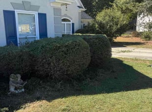 Matt V.'s Bush Trimming service result