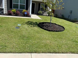 Mike R.'s lawn care service result