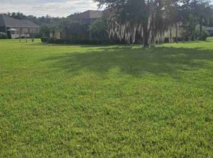 Wilta O.'s lawn care services service result