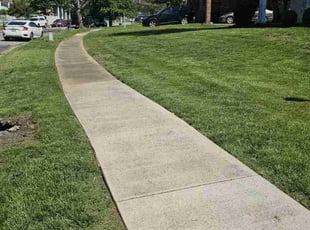 Sunni D.'s turf maintenance service result