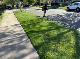 Rodney C.'s lawn service service result