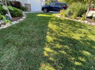 Cherilyn H.'s lawn care service result
